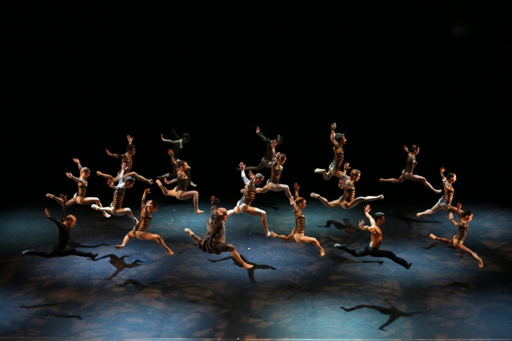 La Belle et la Bete ยฉ Olivier Houeix OHX 8681