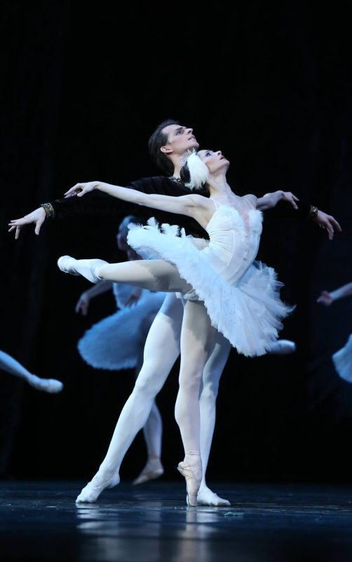 12888545 10154331422468676 2732030841673951042 o