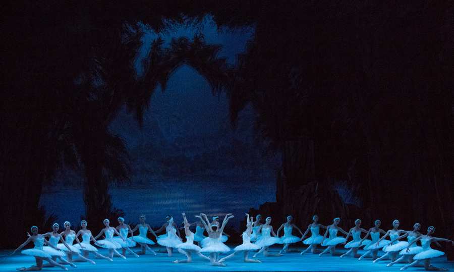 Swan Lake 262 photo by M.Logvinov 29.9.12